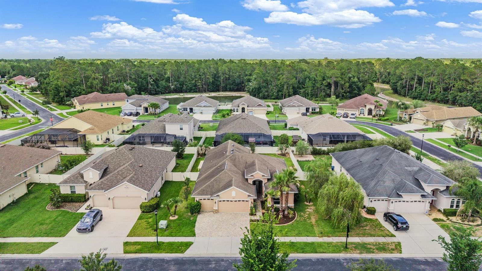 27205 HAWKS NEST CIR, WESLEY CHAPEL, FL, 33544