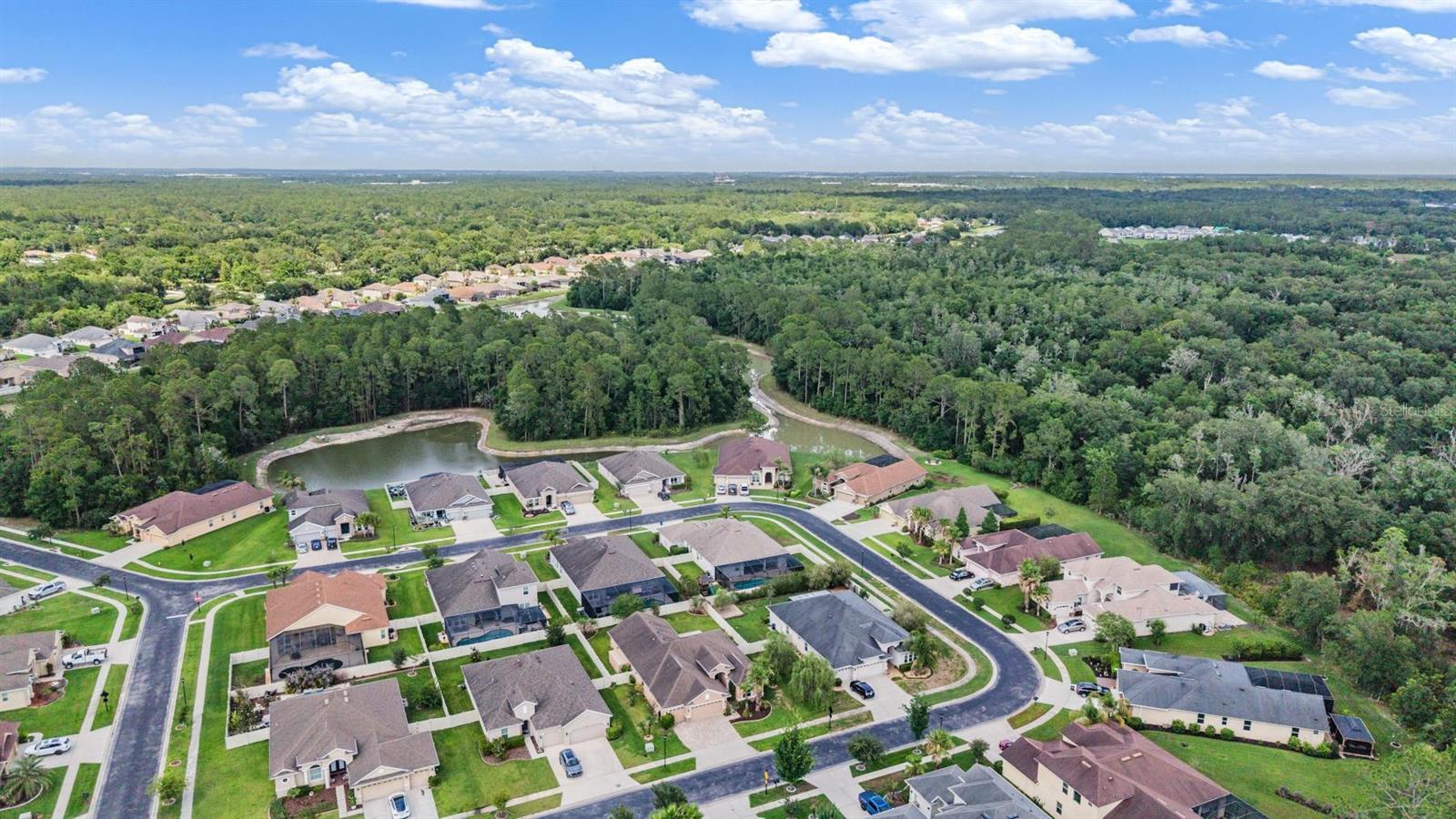 27205 HAWKS NEST CIR, WESLEY CHAPEL, FL, 33544