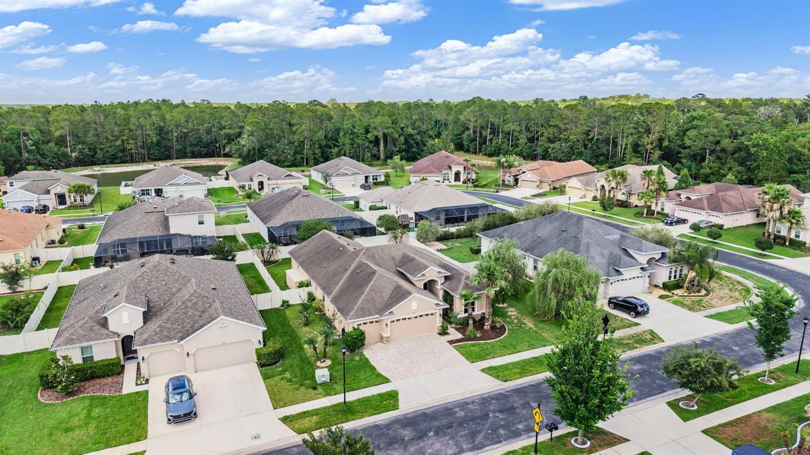 27205 HAWKS NEST CIR, WESLEY CHAPEL, FL, 33544