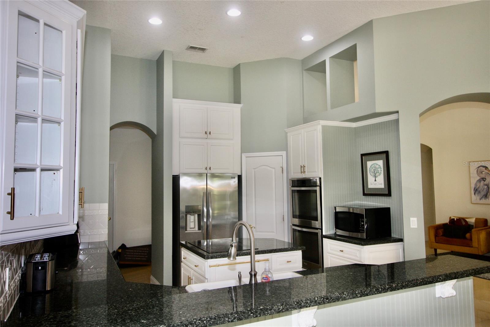 9041 LAUREL RIDGE DR, MOUNT DORA, FL, 32757