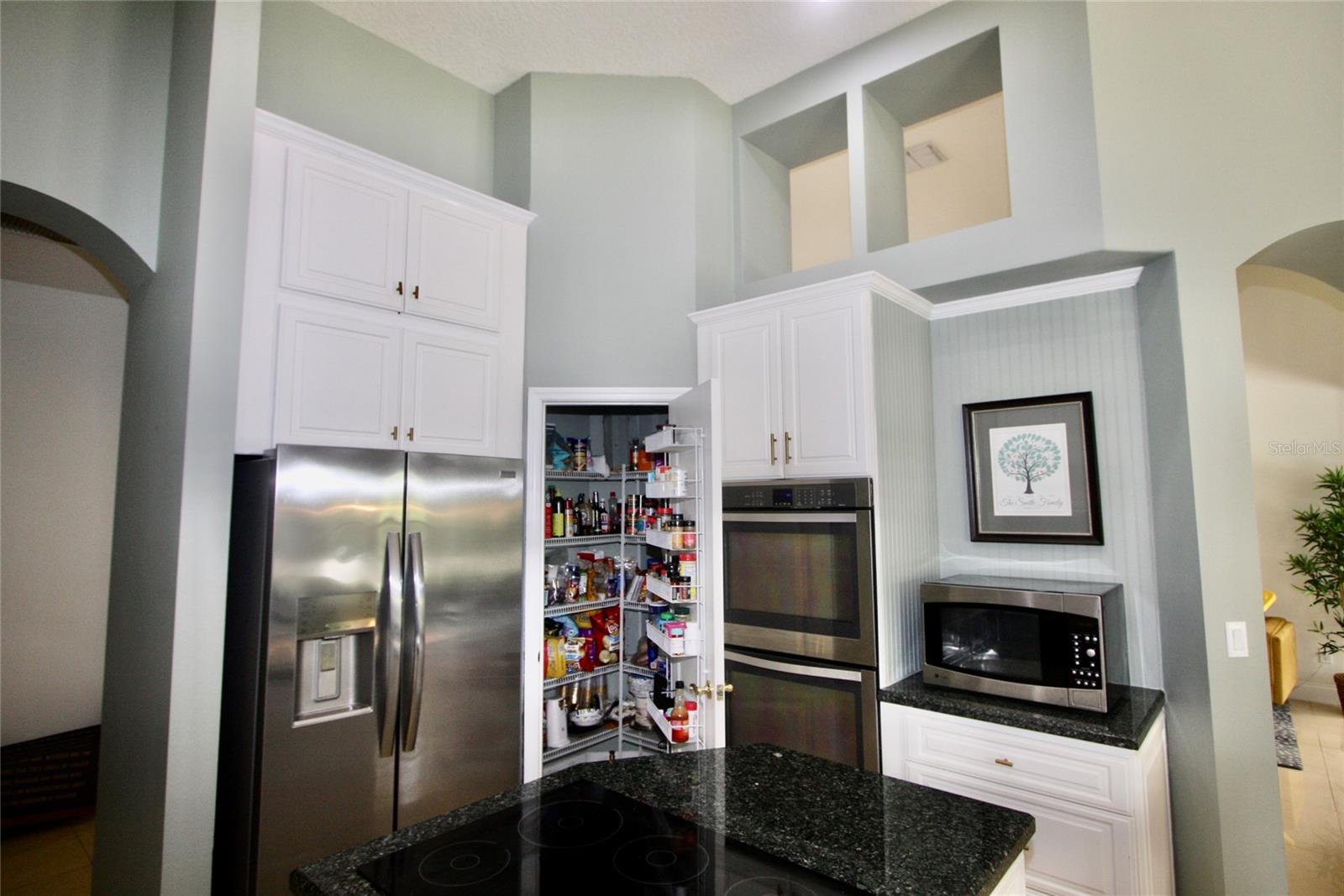9041 LAUREL RIDGE DR, MOUNT DORA, FL, 32757