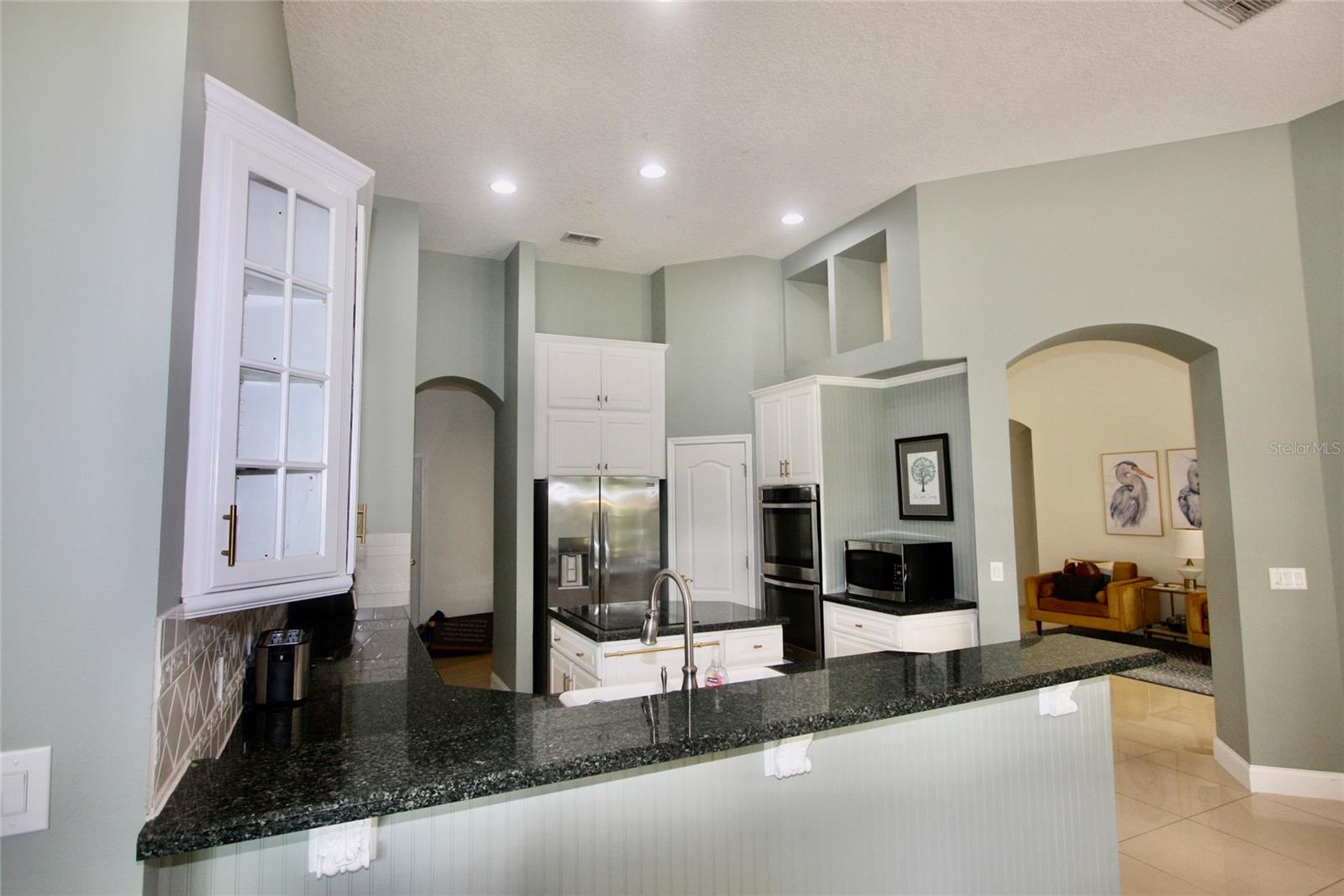 9041 LAUREL RIDGE DR, MOUNT DORA, FL, 32757