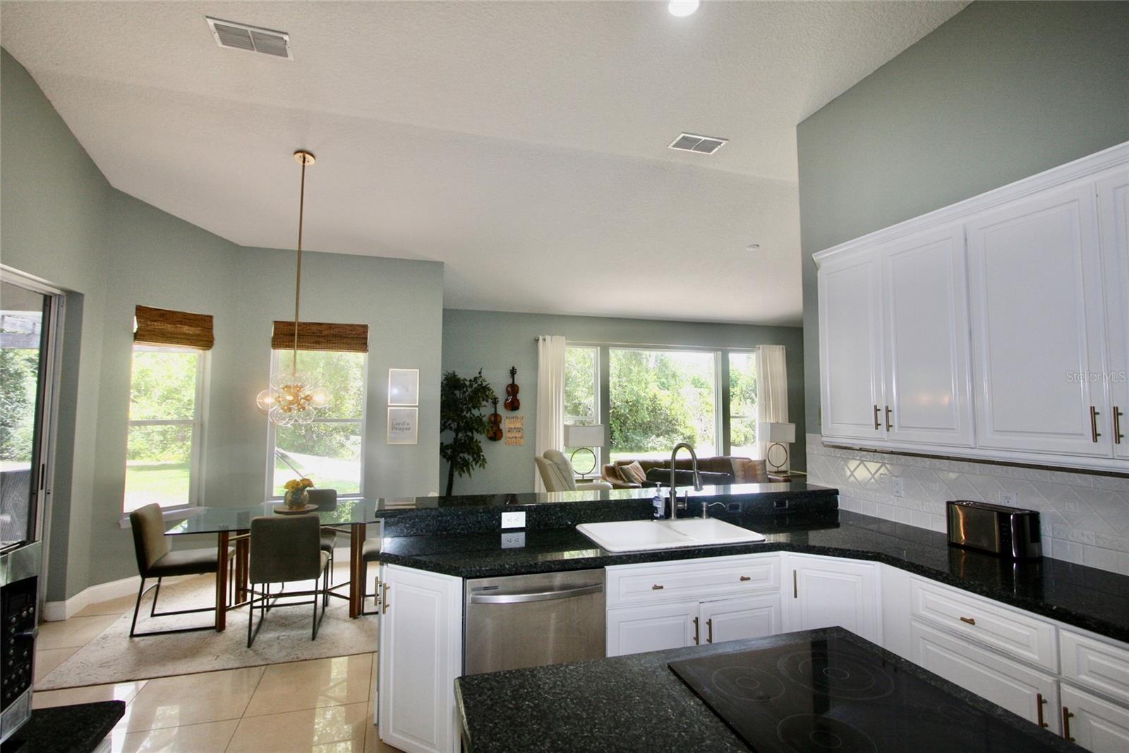 9041 LAUREL RIDGE DR, MOUNT DORA, FL, 32757