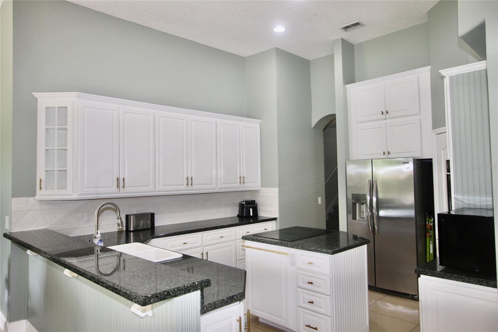 9041 LAUREL RIDGE DR, MOUNT DORA, FL, 32757