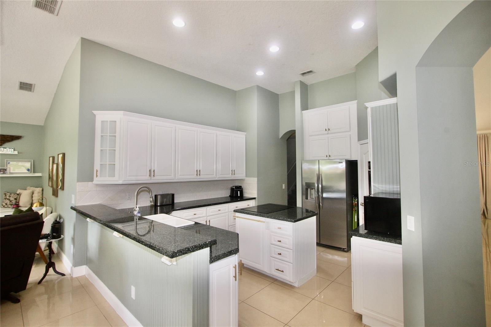 9041 LAUREL RIDGE DR, MOUNT DORA, FL, 32757