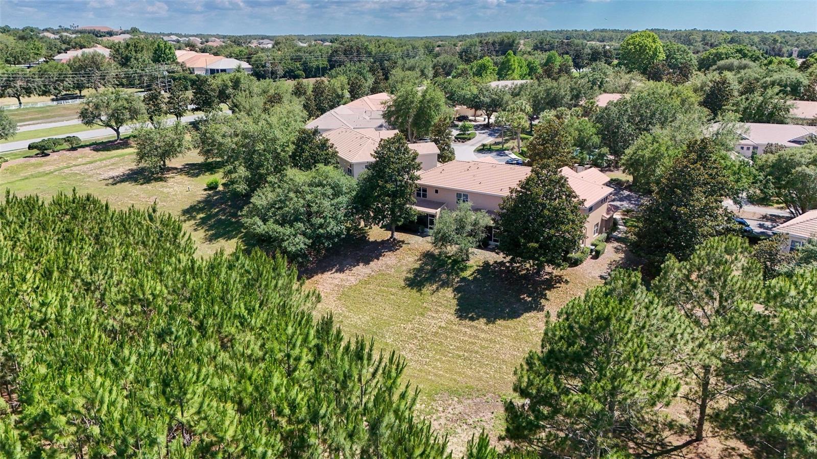 1598 W SPRING MEADOW LOOP, LECANTO, FL, 34461