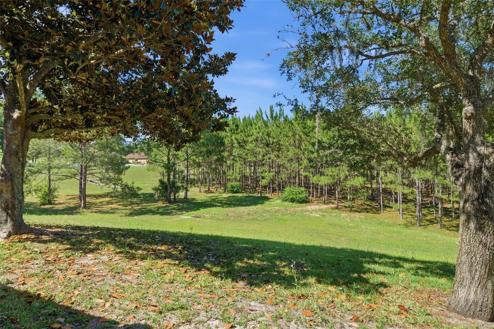 1598 W SPRING MEADOW LOOP, LECANTO, FL, 34461
