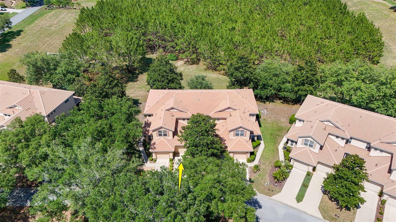 1598 W SPRING MEADOW LOOP, LECANTO, FL, 34461