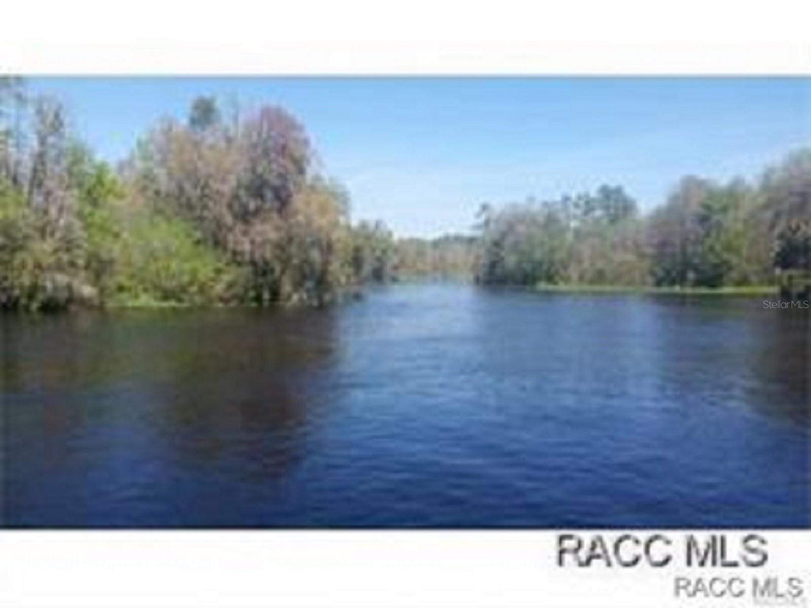 1598 W SPRING MEADOW LOOP, LECANTO, FL, 34461