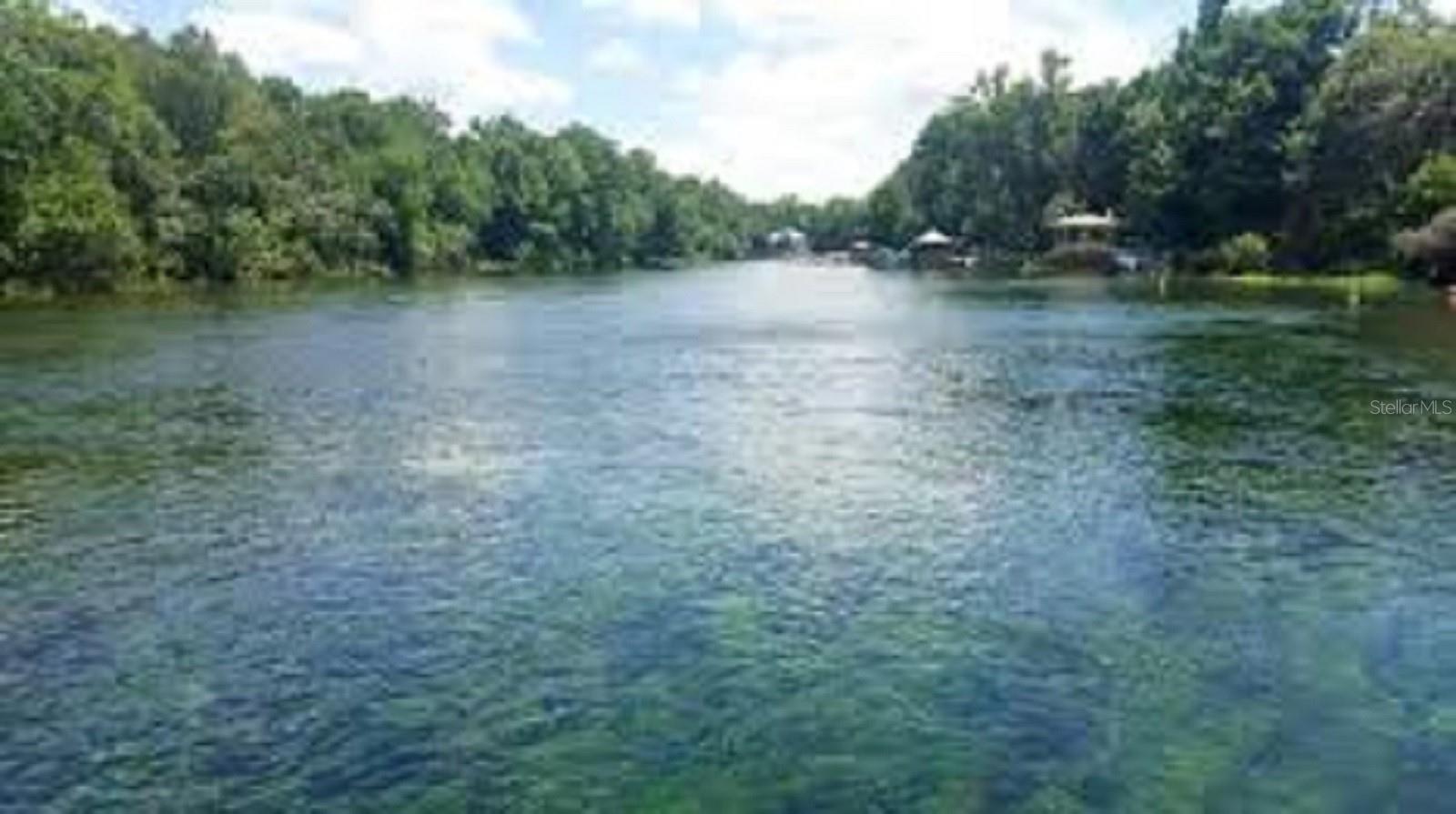 1598 W SPRING MEADOW LOOP, LECANTO, FL, 34461
