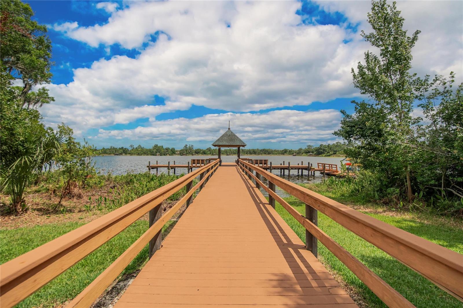 21040 GREEN WING CT, LAND O LAKES, FL, 34637