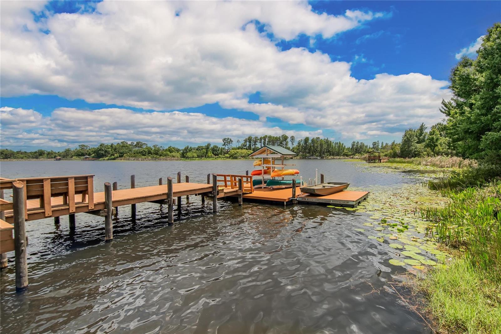 21040 GREEN WING CT, LAND O LAKES, FL, 34637