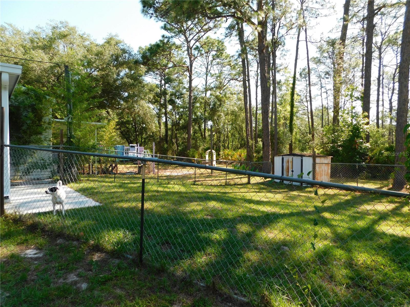 5535 S WILL PT, HOMOSASSA, FL, 34446
