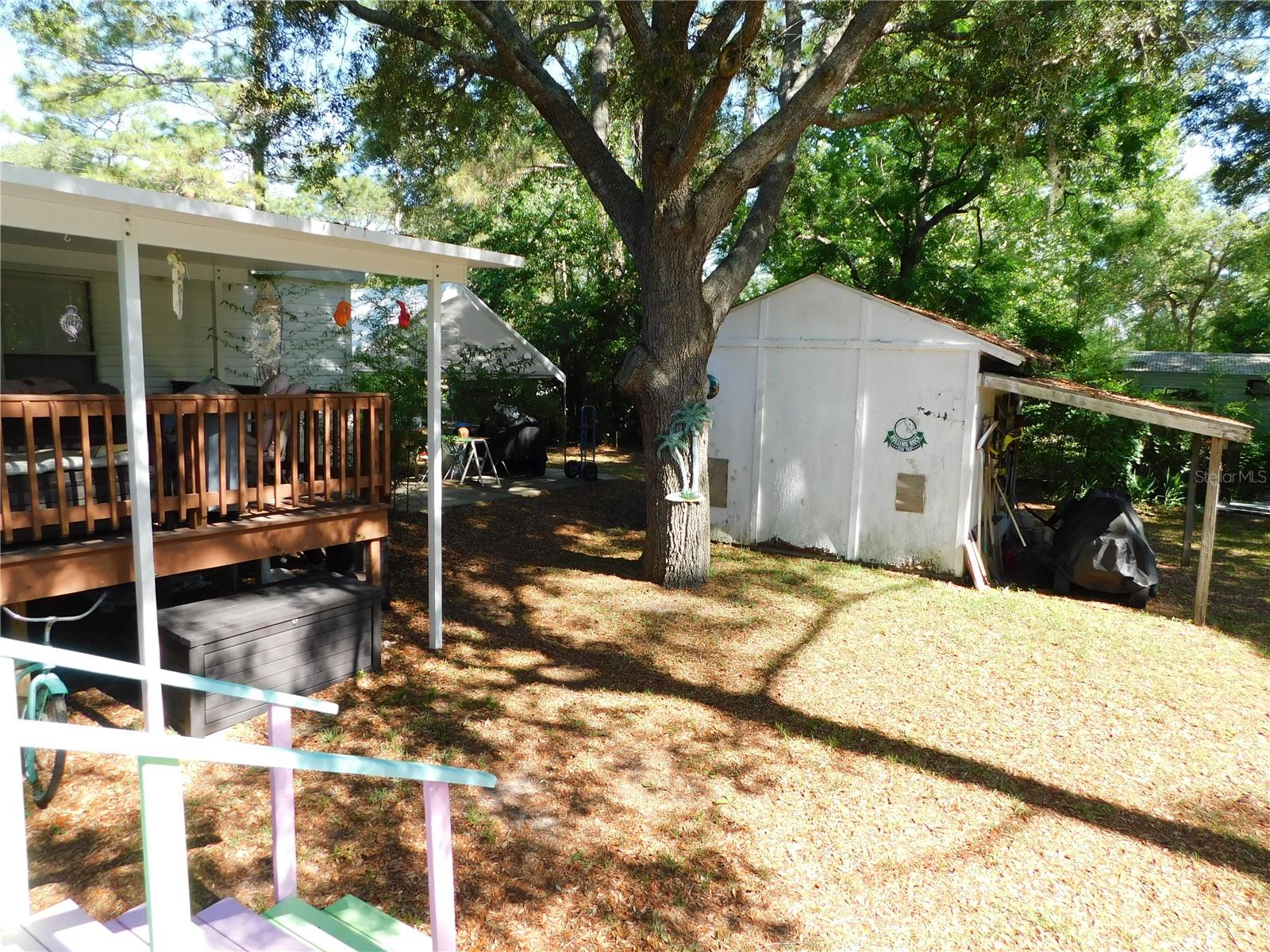 5535 S WILL PT, HOMOSASSA, FL, 34446