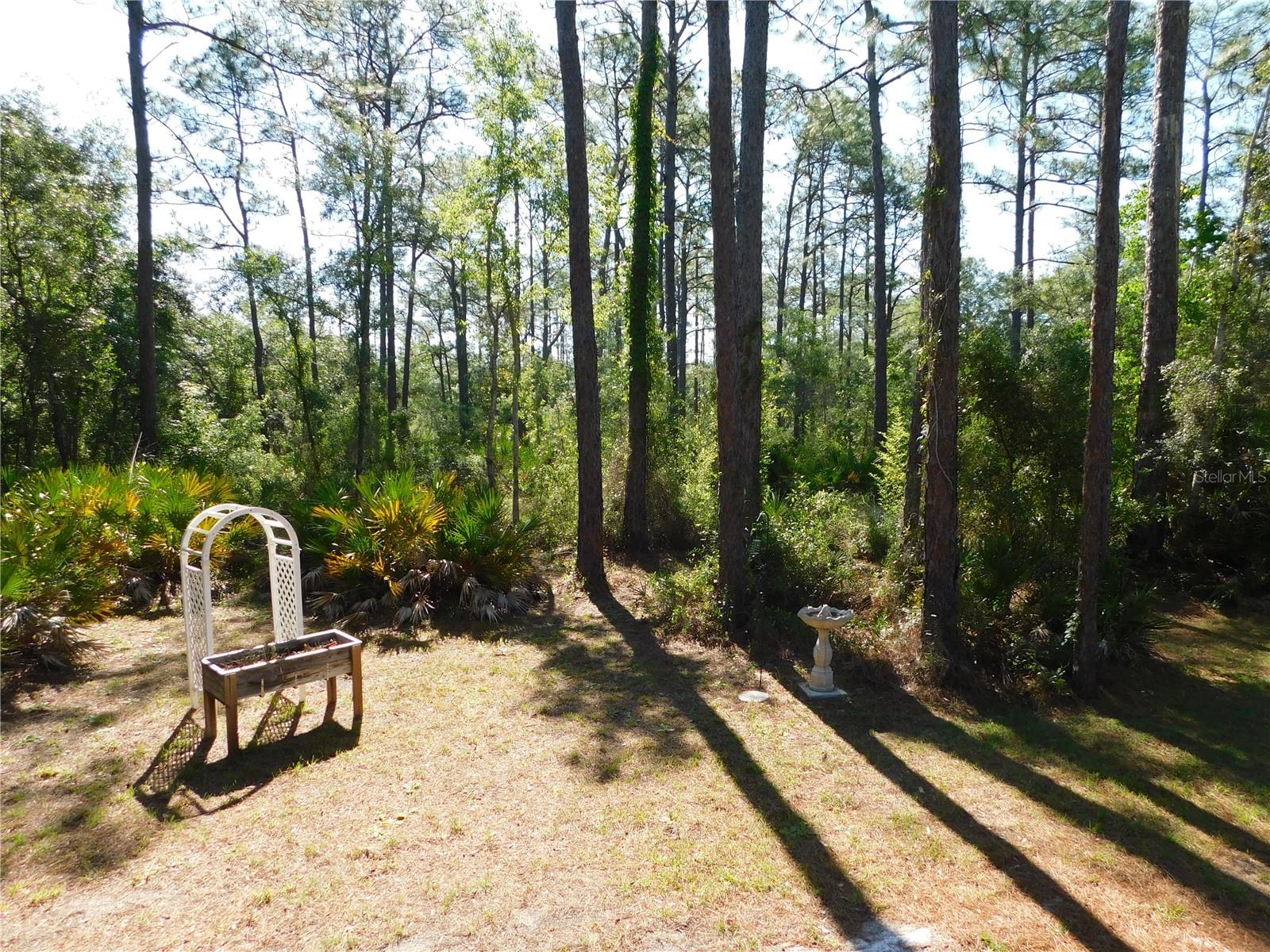 5535 S WILL PT, HOMOSASSA, FL, 34446