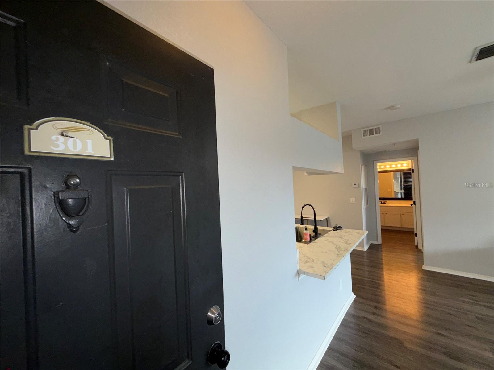 13115 SANCTUARY COVE DR #301, TAMPA, FL, 33637