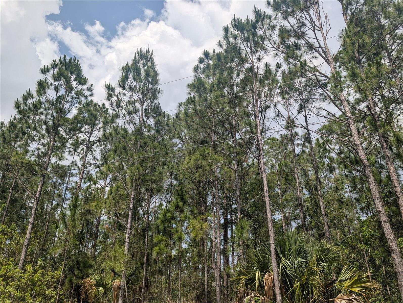 25 AMARYLLIS DR, INDIAN LAKE ESTATES, FL, 33855