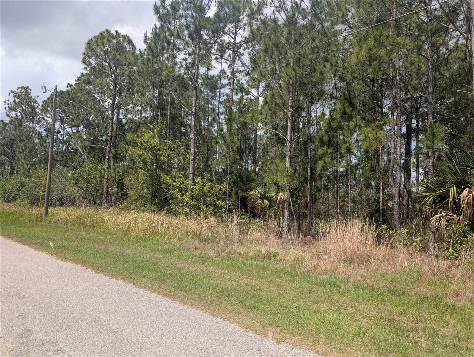 25 AMARYLLIS DR, INDIAN LAKE ESTATES, FL, 33855
