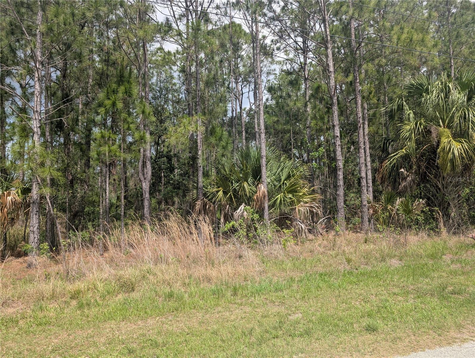 25 AMARYLLIS DR, INDIAN LAKE ESTATES, FL, 33855