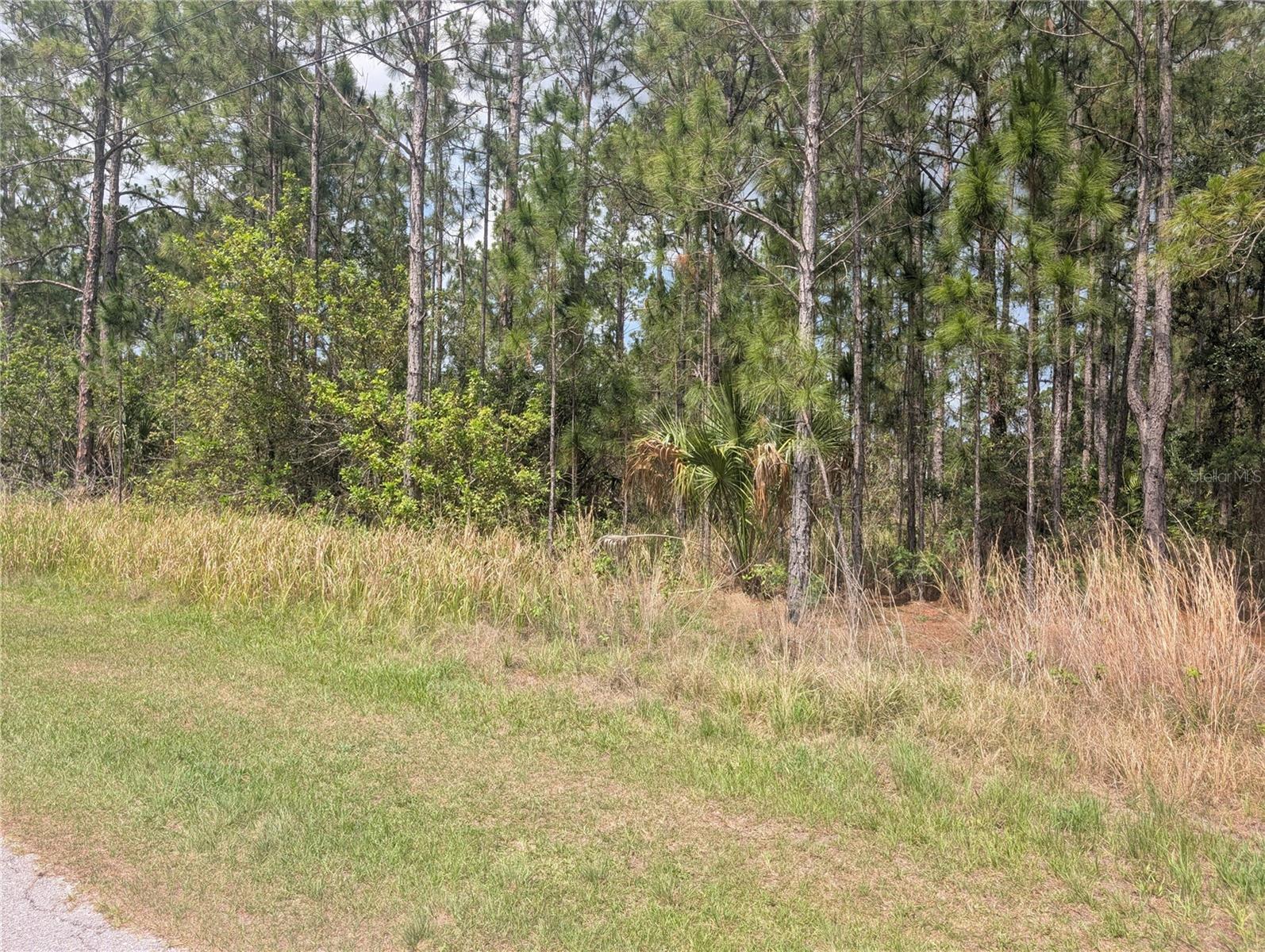 25 AMARYLLIS DR, INDIAN LAKE ESTATES, FL, 33855