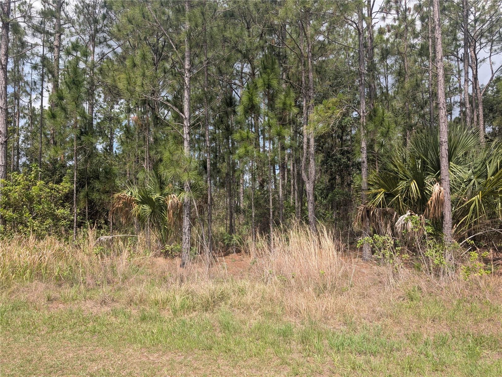 25 AMARYLLIS DR, INDIAN LAKE ESTATES, FL, 33855