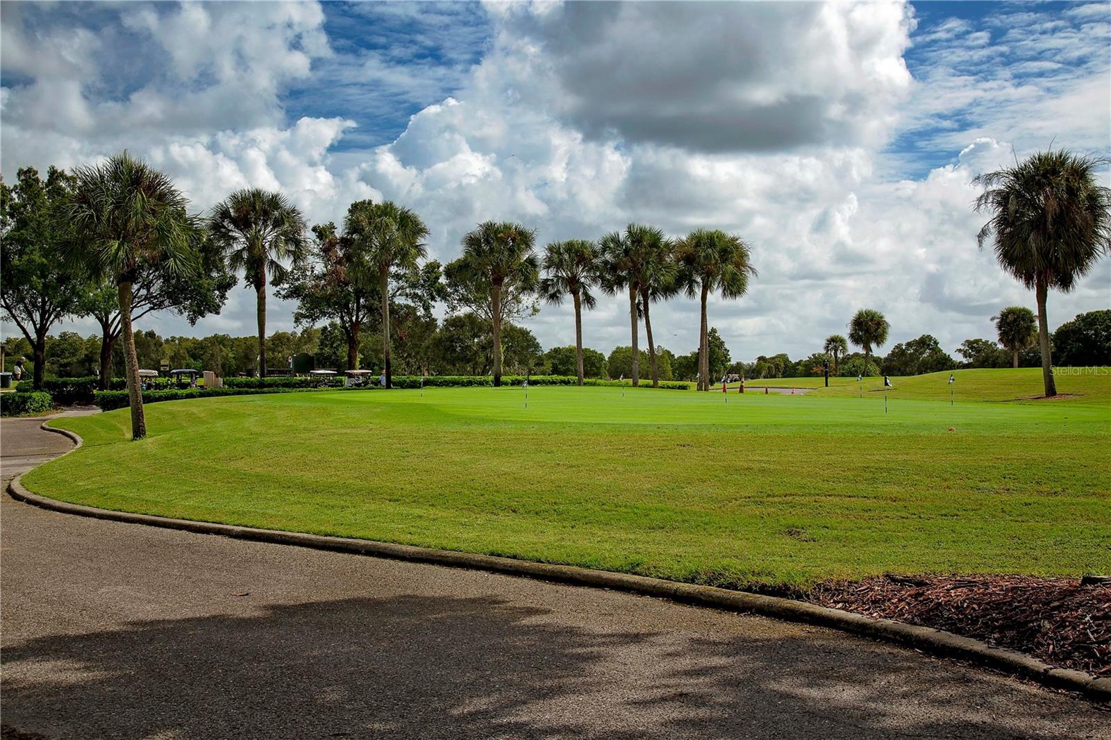 2042 PRESTANCIA LN, SUN CITY CENTER, FL, 33573