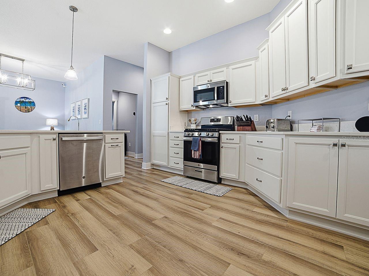 4258 WIDMANN PL, THE VILLAGES, FL, 32163