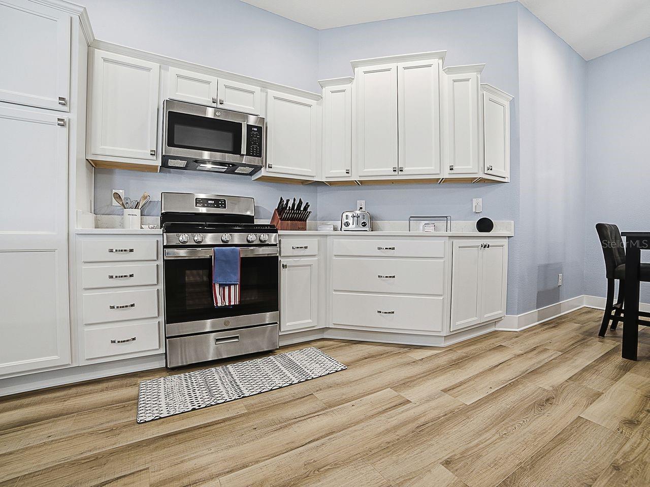 4258 WIDMANN PL, THE VILLAGES, FL, 32163