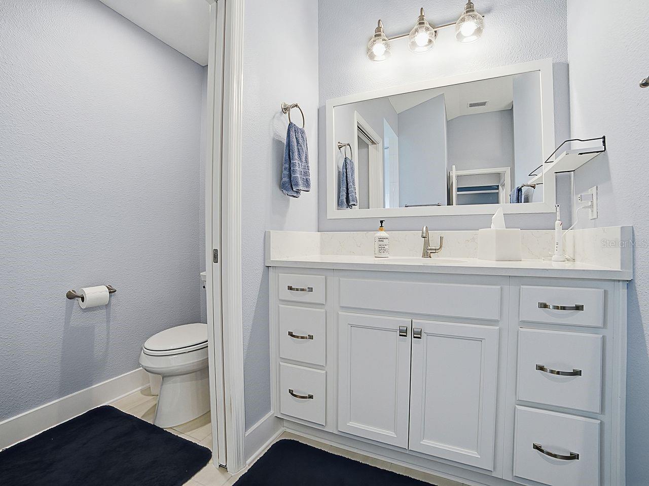 4258 WIDMANN PL, THE VILLAGES, FL, 32163