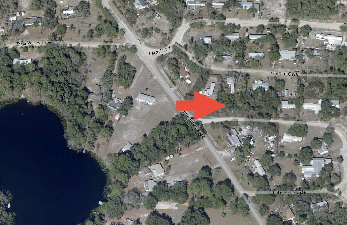 PALMETTO CIR, PAISLEY, FL, 32767
