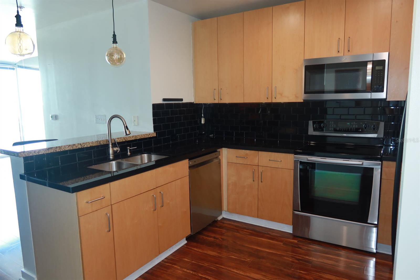 155 S COURT AVE #1113, ORLANDO, FL, 32801
