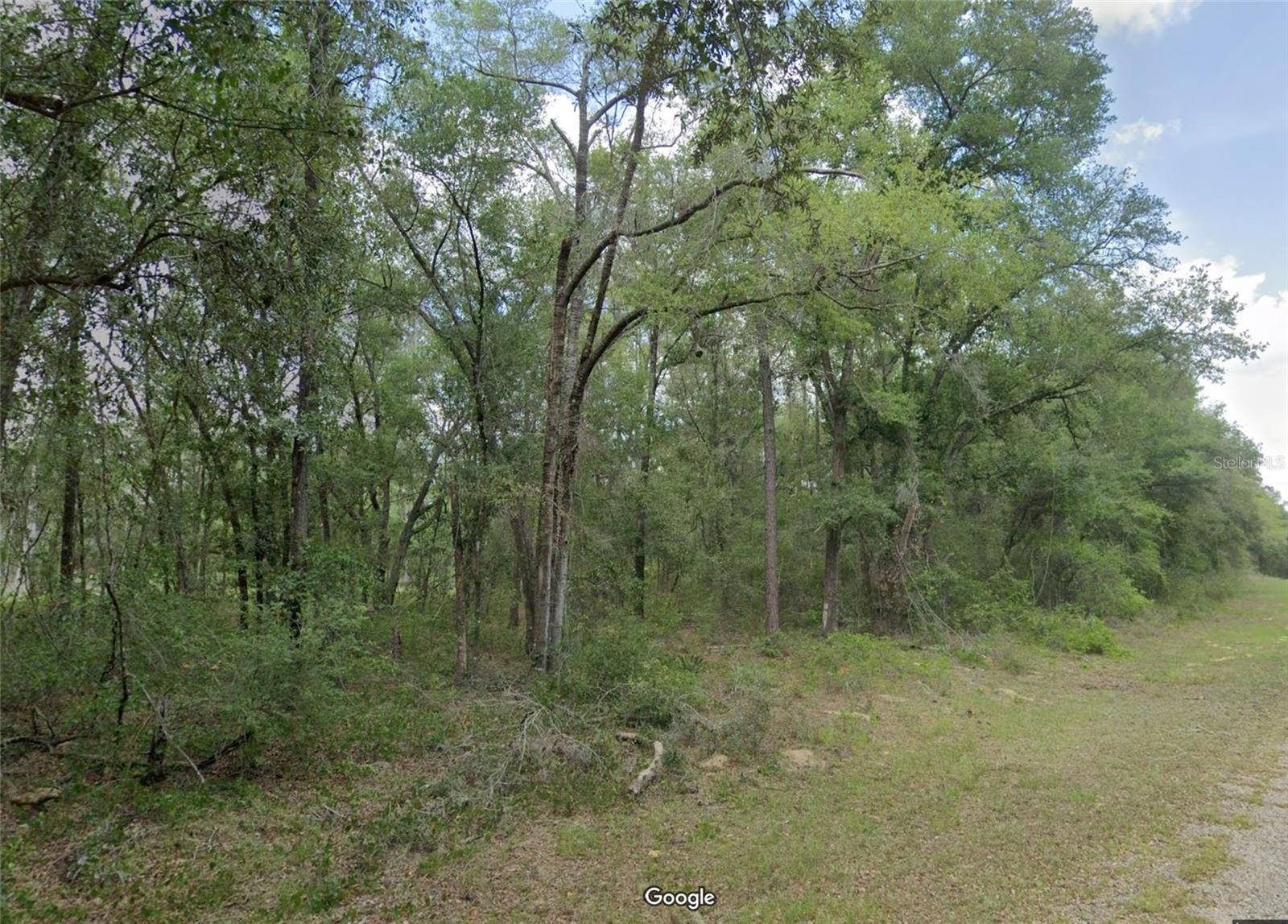 719 E BYRD LOOP, DUNNELLON, FL, 34434