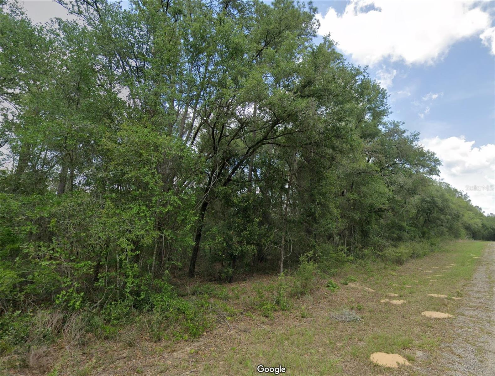 737 E BYRD LOOP, DUNNELLON, FL, 34434