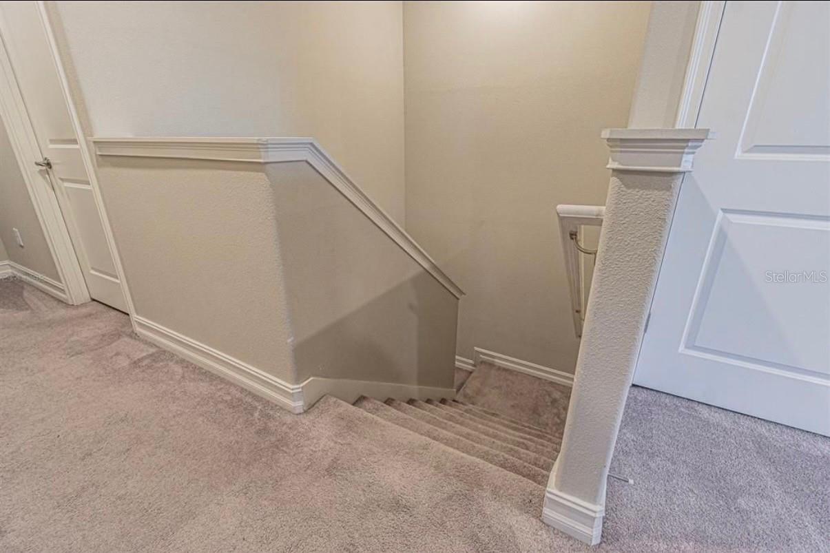 4615 ALMADA LN, WESLEY CHAPEL, FL, 33543