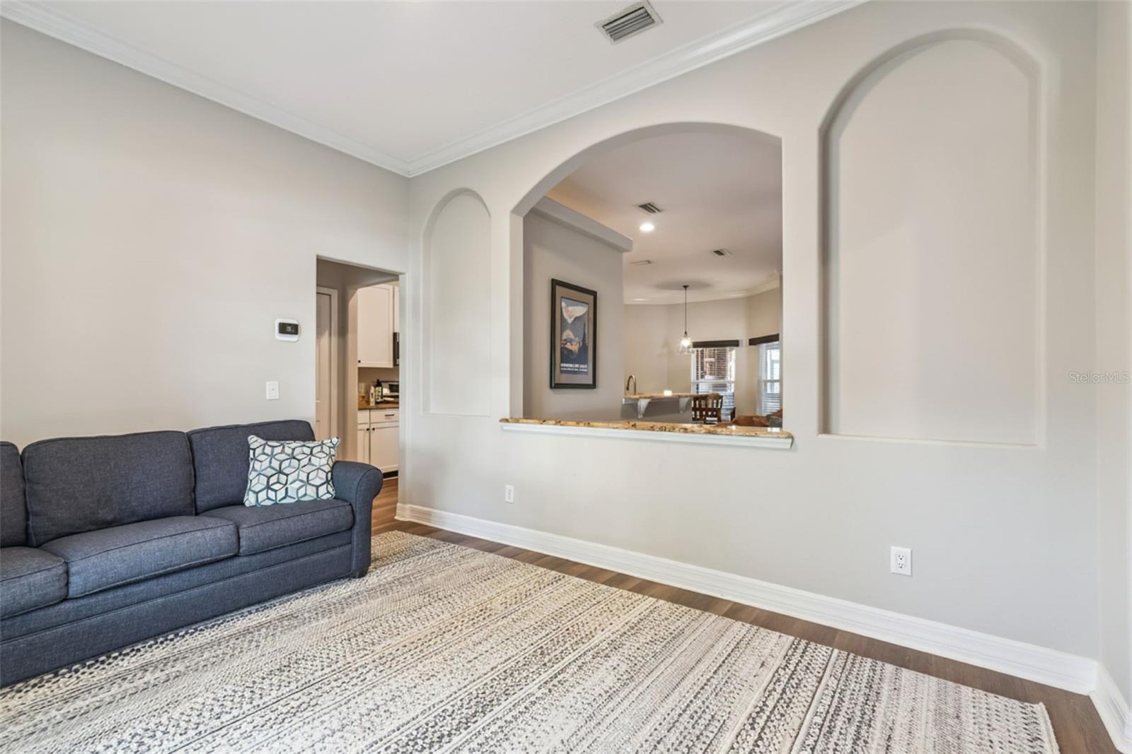 242 BLUE WATER ST, EUSTIS, FL, 32736