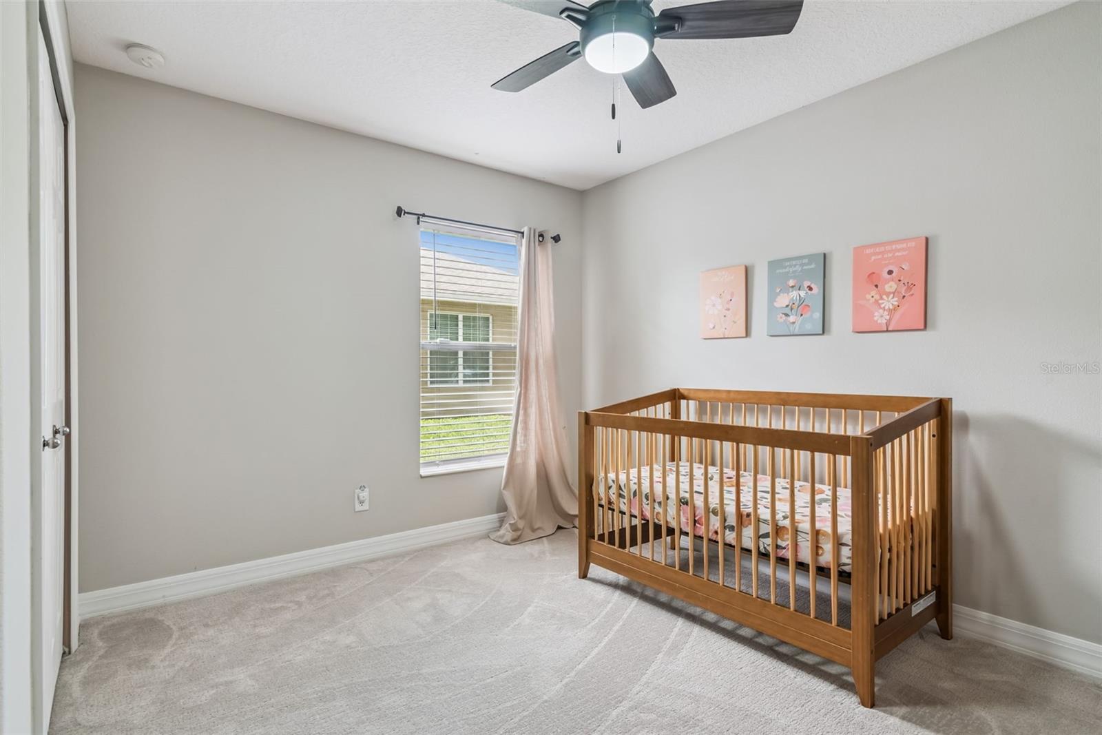 242 BLUE WATER ST, EUSTIS, FL, 32736