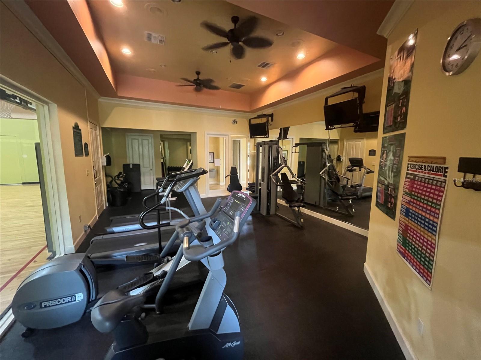 4207 S DALE MABRY HWY #6213, TAMPA, FL, 33611