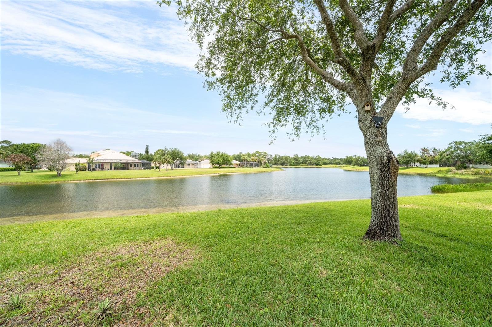 241 DEVLIN CT, PALM BAY, FL, 32909