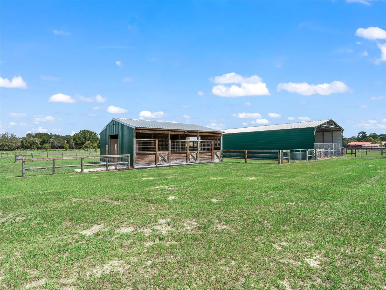 1771 SE 119TH AVE, MORRISTON, FL, 32668
