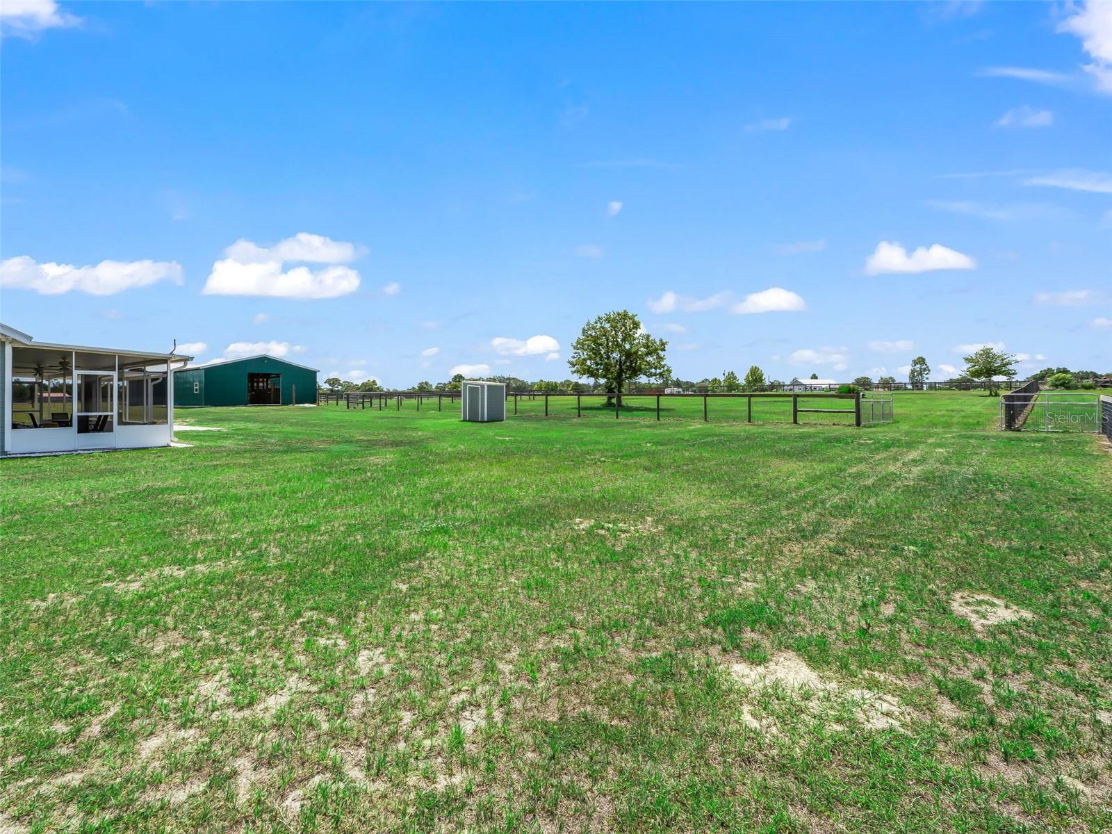 1771 SE 119TH AVE, MORRISTON, FL, 32668
