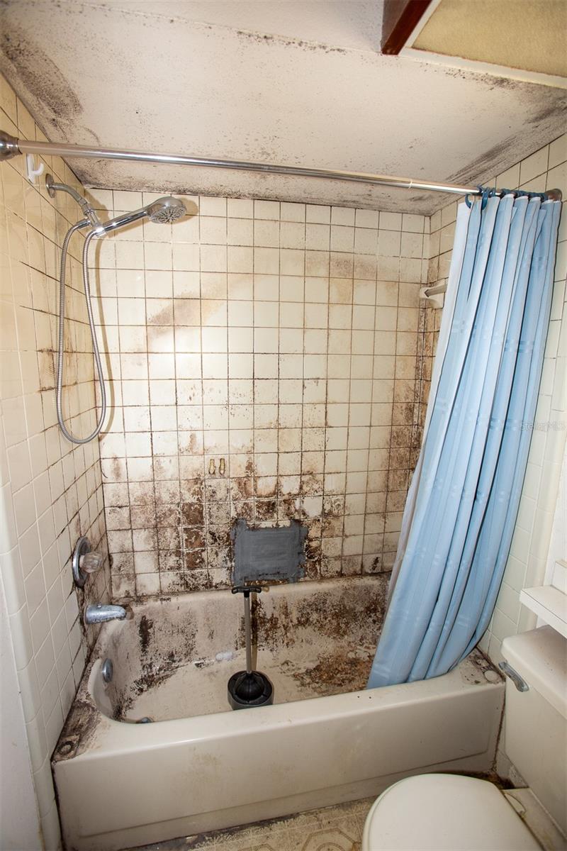 1363 CORNER OAKS DR, BRANDON, FL, 33510