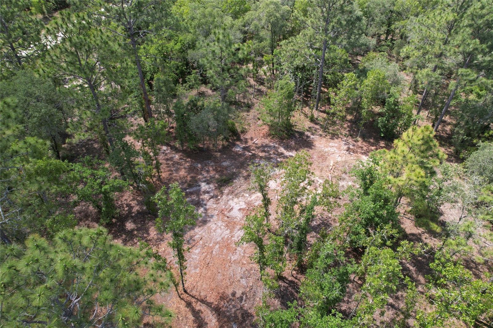 SE 53RD LN, MORRISTON, FL, 32668