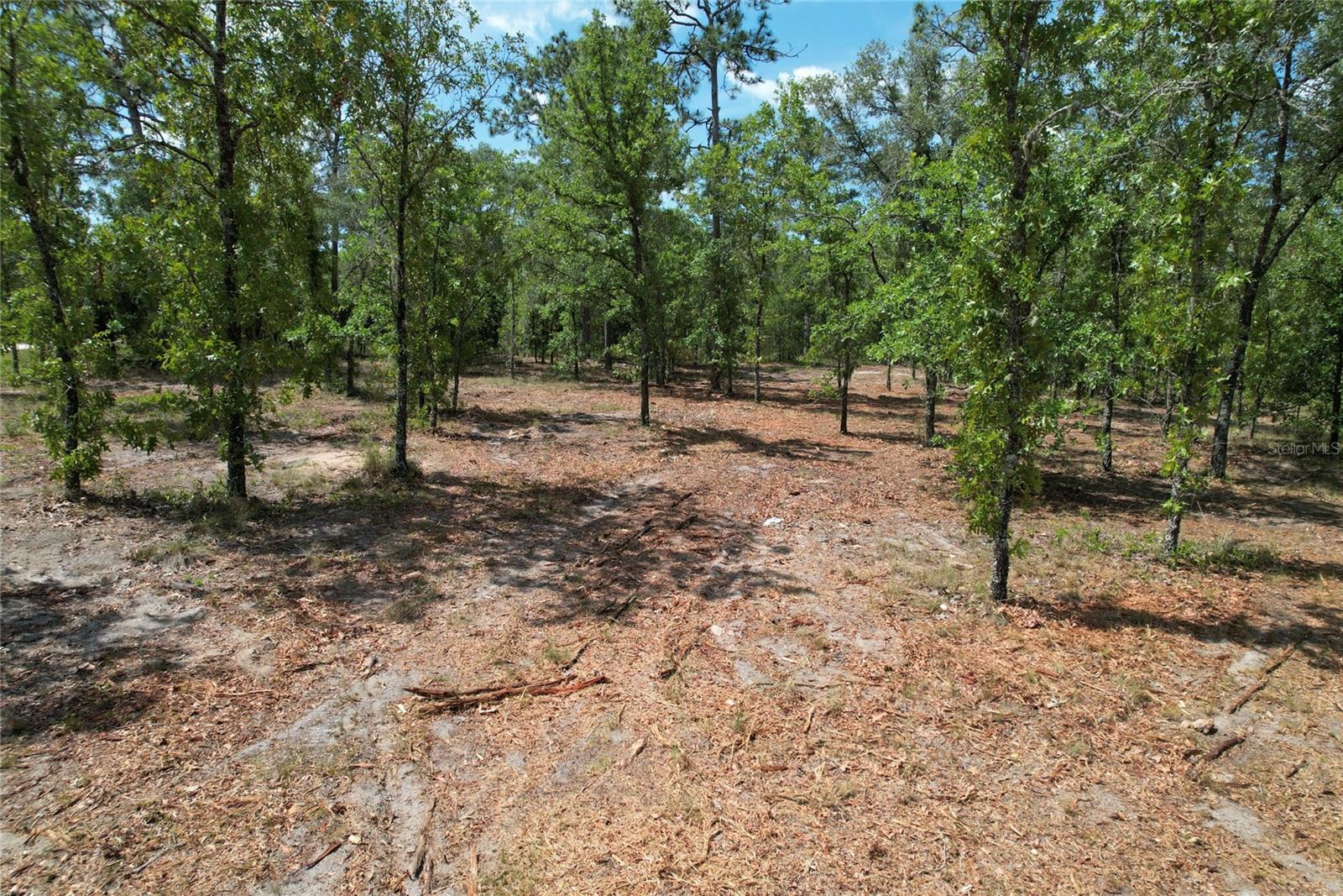 SE 53RD LN, MORRISTON, FL, 32668