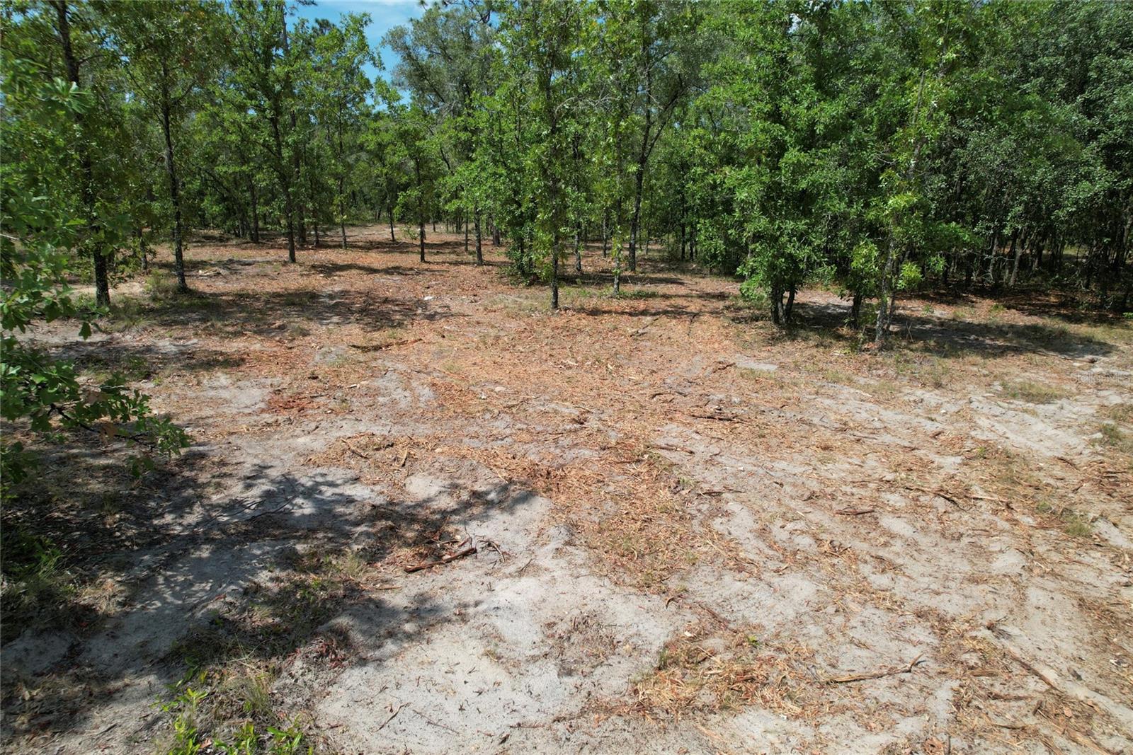 SE 53RD LN, MORRISTON, FL, 32668