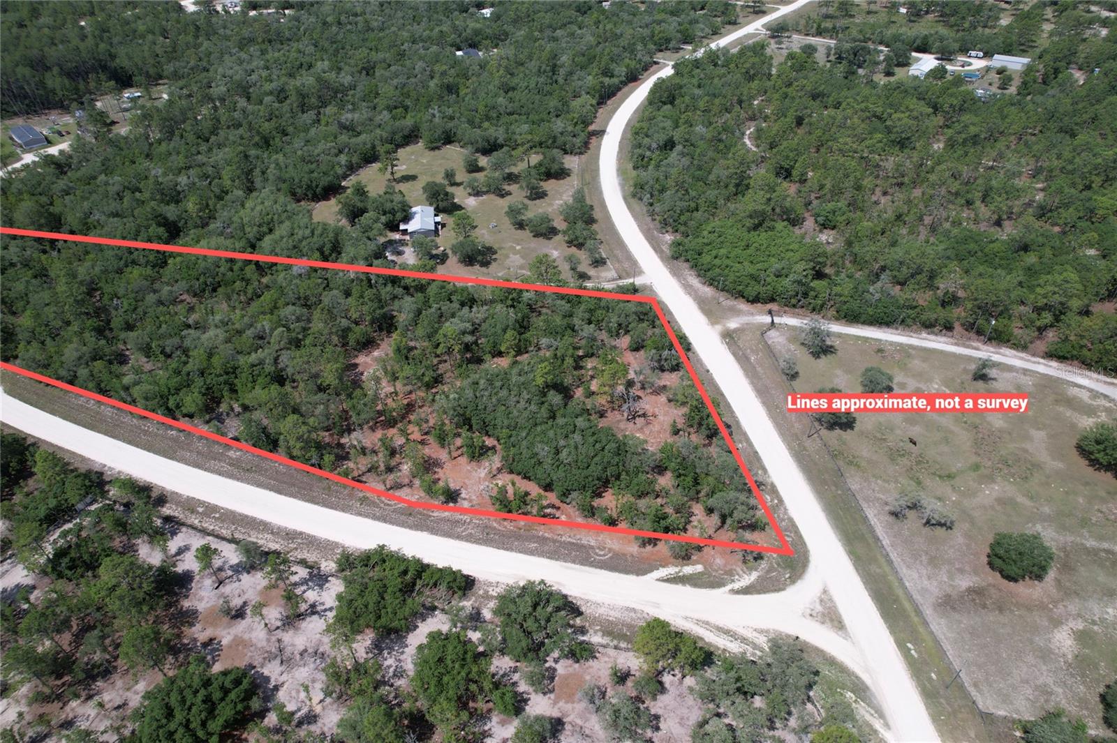SE 53RD LN, MORRISTON, FL, 32668