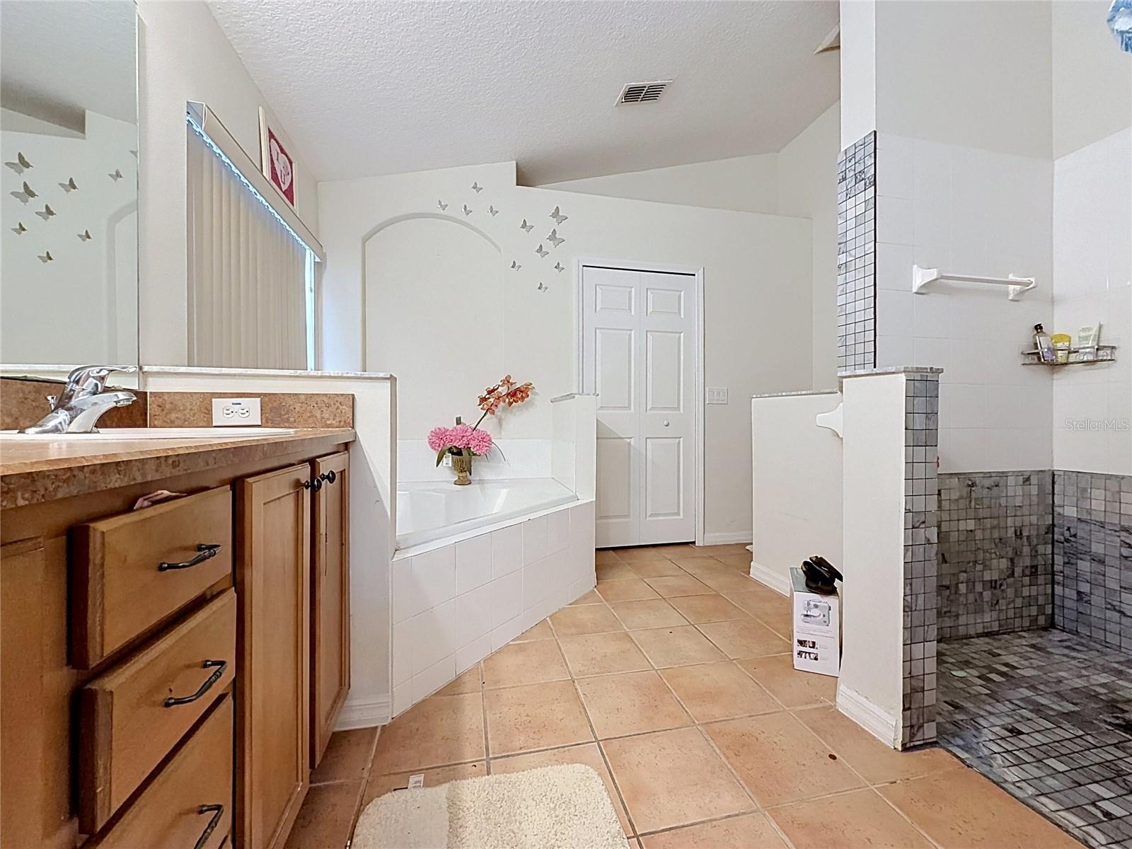 230 HYPOLITA AVE, DAVENPORT, FL, 33897