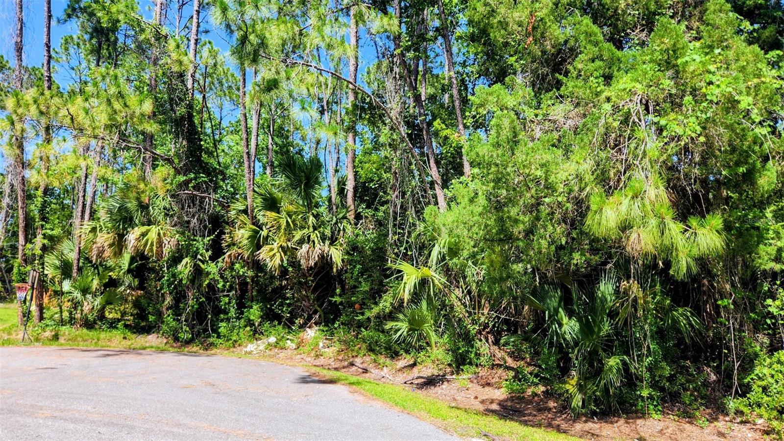 6 RYBAR PL, PALM COAST, FL, 32164