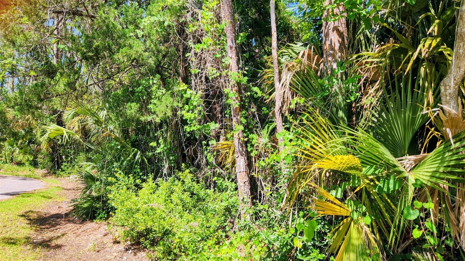 6 RYBAR PL, PALM COAST, FL, 32164