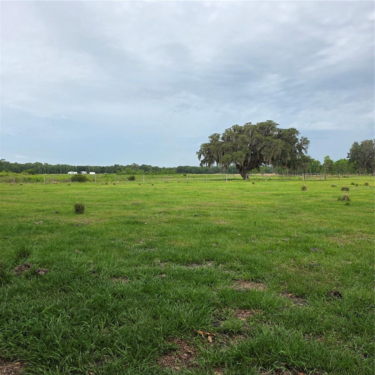 VERNON DAIRY, SPRING HILL, FL, 34610