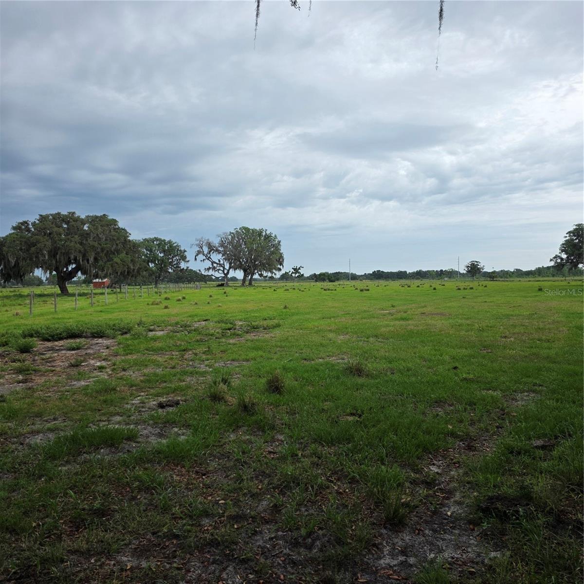 VERNON DAIRY, SPRING HILL, FL, 34610